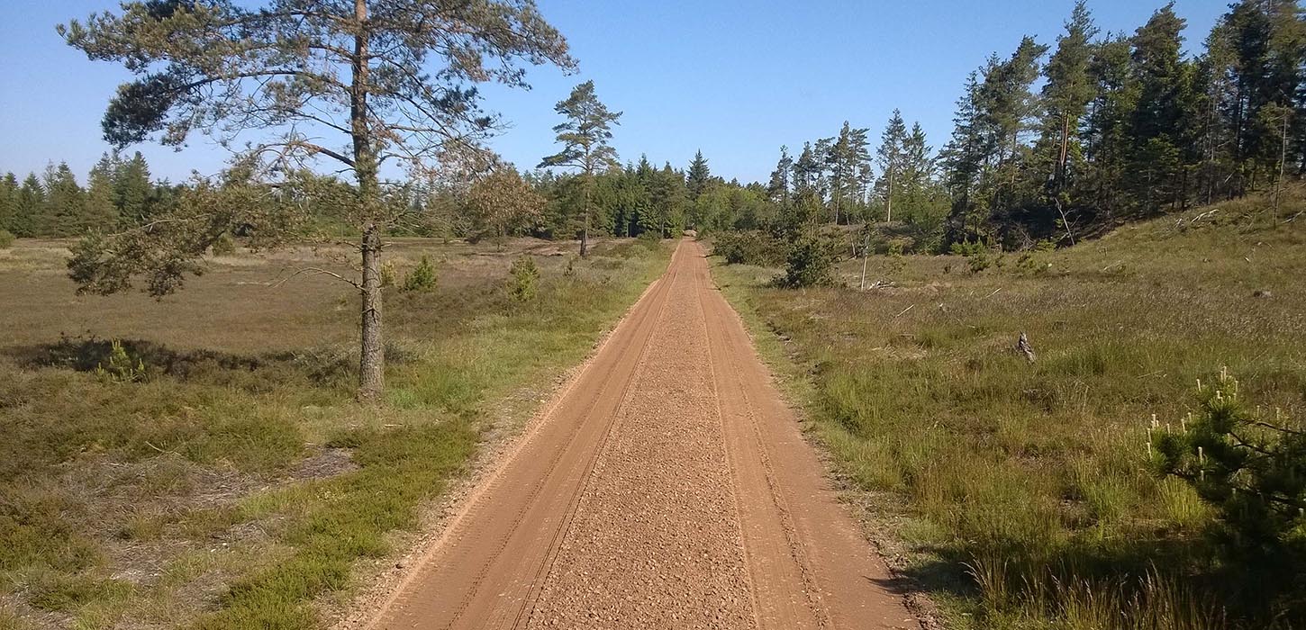 Bindeballestien