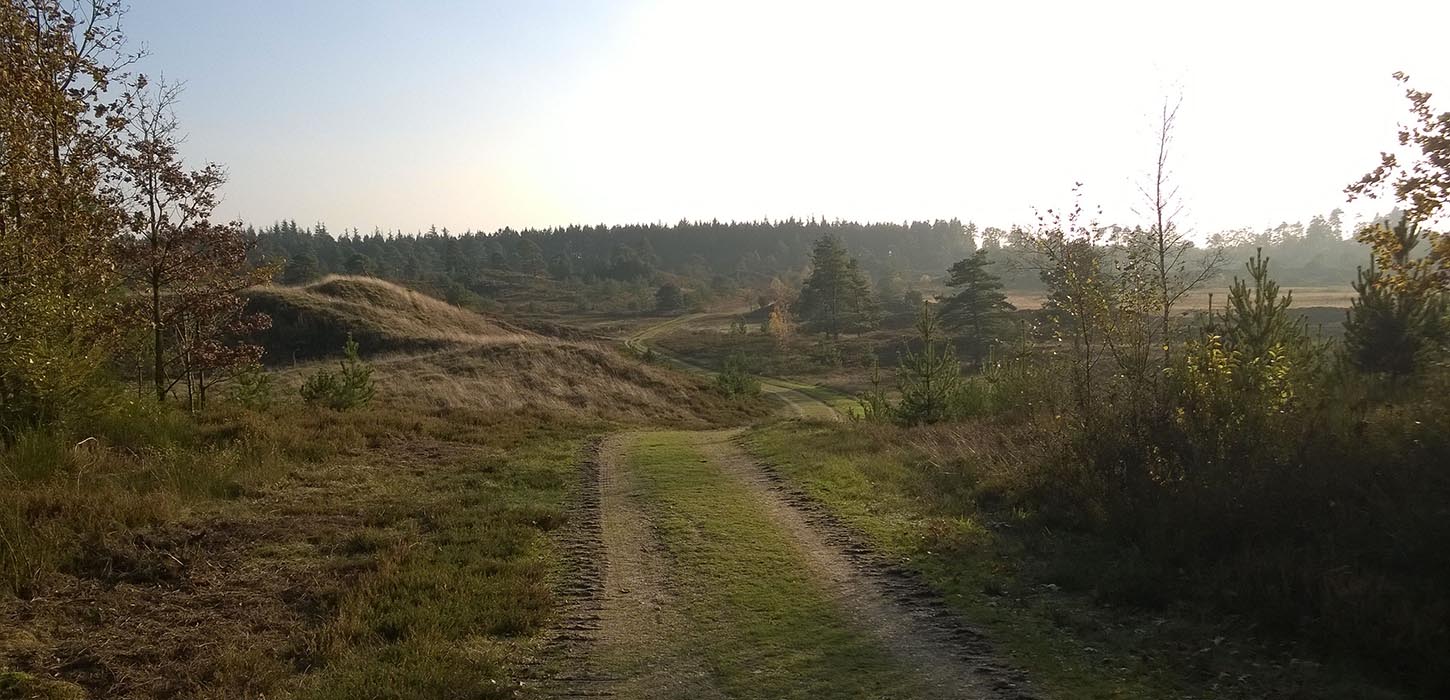 Bindeballestien