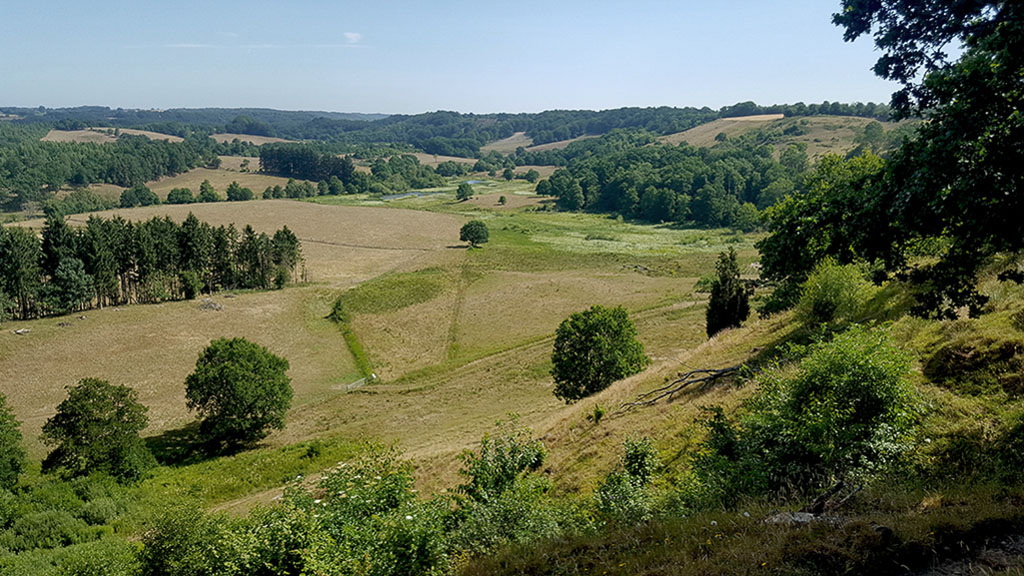 Refsgårde