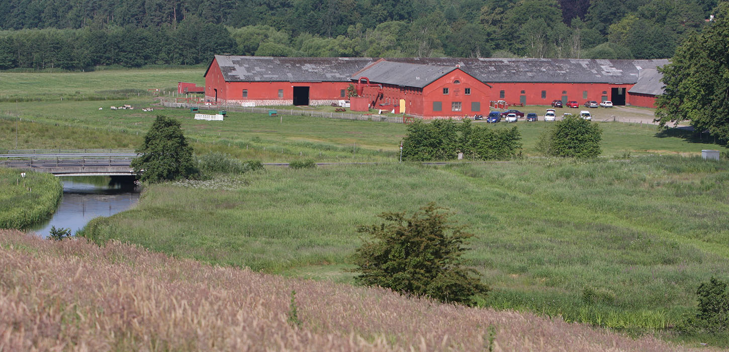 Haraldskær