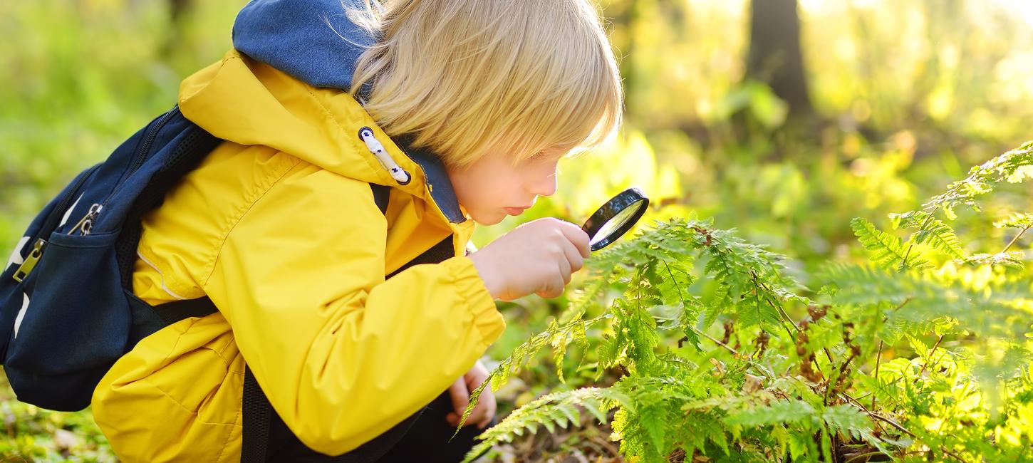 Biodiversitet i børnehøjde