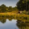 Shelter ved Løget Dam